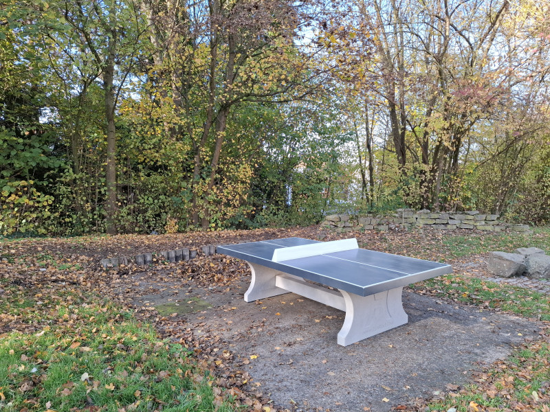 Realschule Heinrich-Heine aus Hagen