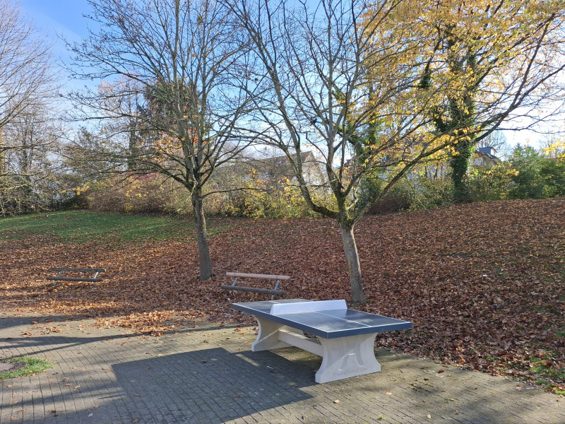 Realschule Heinrich-Heine aus Hagen