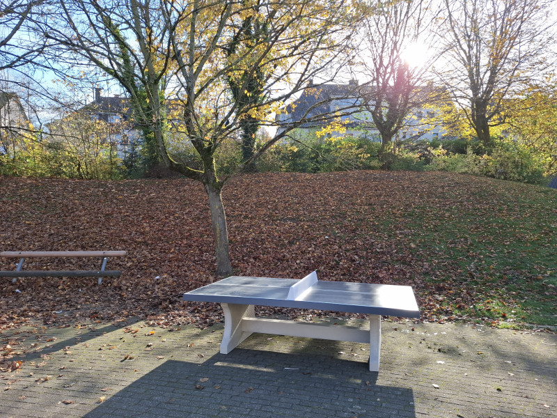 Realschule Heinrich-Heine aus Hagen