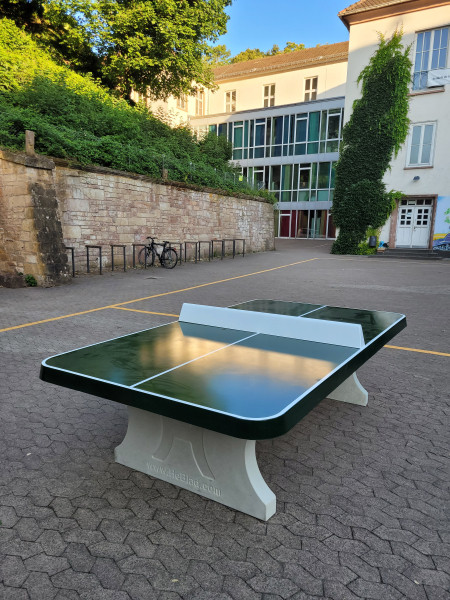 Gymnasium am Schloss aus Saarbrücken