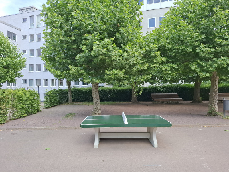 Ludwigsgymnasium aus Saarbrücken