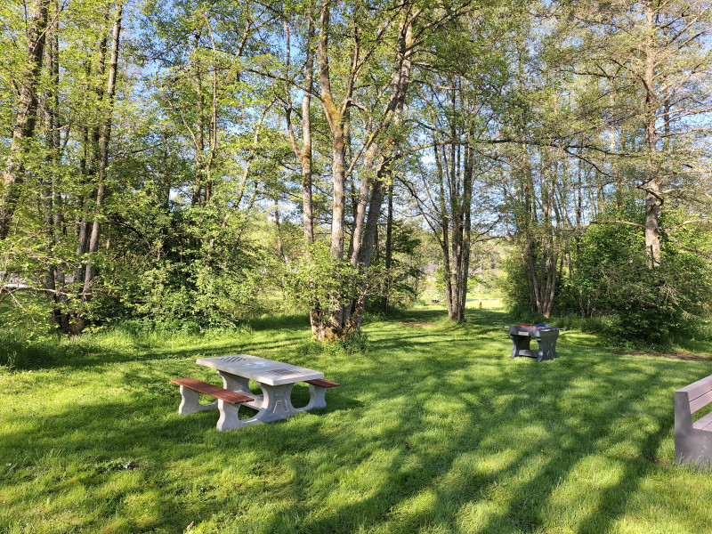 Im Kurpark aus Stadtkyll