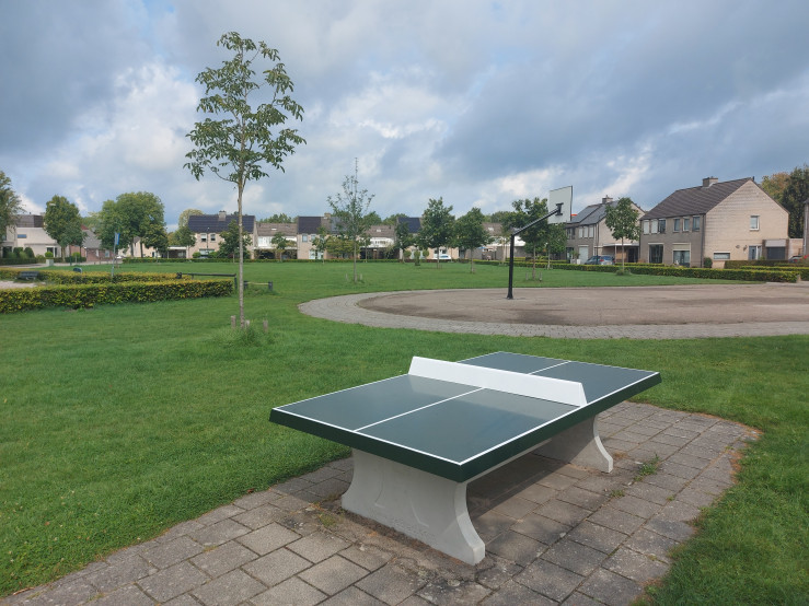 Tischtennistisch in Grün